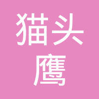 探秘貓頭鷹網(wǎng)絡(luò)科技 優(yōu)勢、業(yè)務(wù)與市場評價(jià)