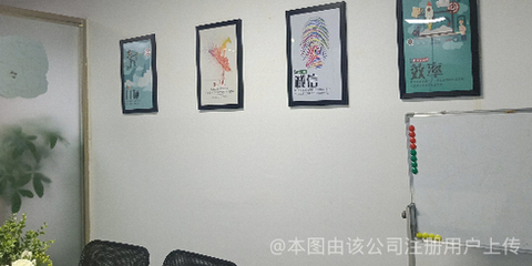 貓頭鷹網(wǎng)絡(luò)科技 洞察黑夜，引領(lǐng)未來